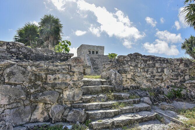 Tulum Ruins, Turtles in Akumal and Cenote tour - Lunch and snacks: tacos with dietary options, plus energy that lasts