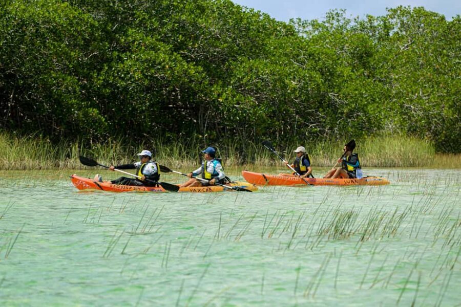 Tulum: Sian Ka'an Biosphere Reserve Kayak Tour - Breakfast at the Mayan Palapa: More Than a Quick Bite