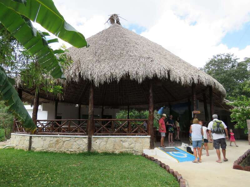 Tulum: Sian Ka'an Biosphere Reserve Kayak Tour - Chunyaxché Stop and Lunch: Los Aluxes Does the Heavy Lifting