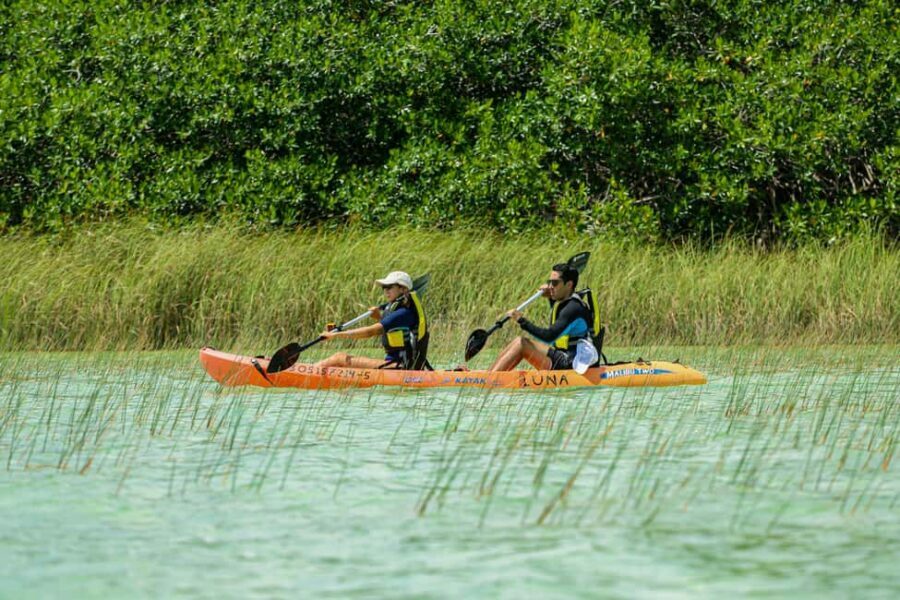 Tulum: Sian Ka'an Biosphere Reserve Kayak Tour - Price and Value: $109 Makes Sense If You Want the Real Reserve Feel