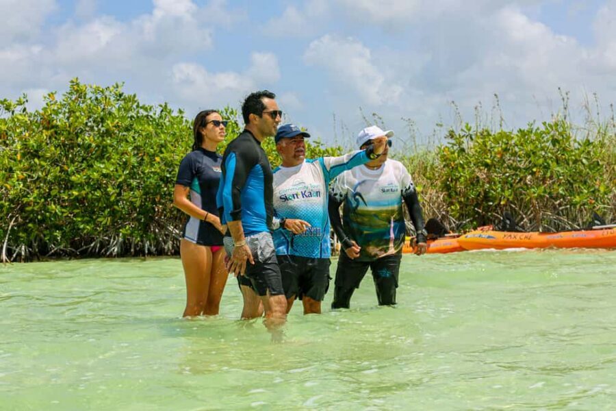 Tulum: Sian Ka'an Biosphere Reserve Kayak Tour - Morning Pickup From Tulum: Easy Logistics, Early Start