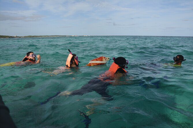 Tulum: Snorkeling and Private Sailing Tour - Price and value: why $65.72 can feel fair