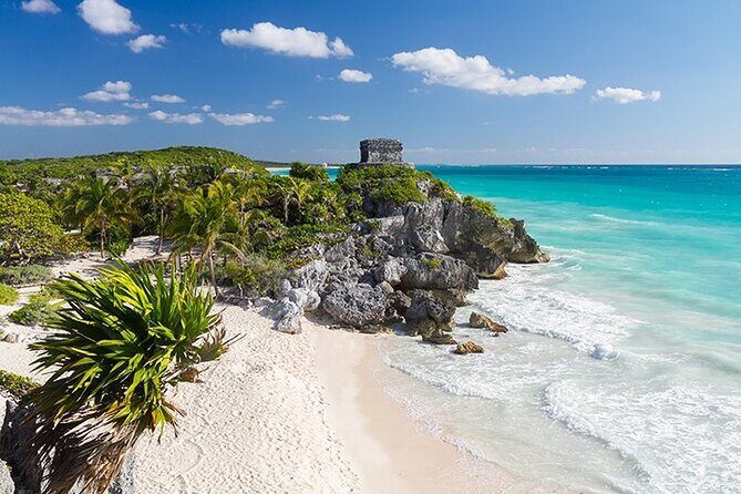 Tulum, Snorkeling with Sea Turtles, Cenote and Beachside Lunch - Stop 3: Akumal Beach snorkeling with sea turtles (the star, and why crowding matters)