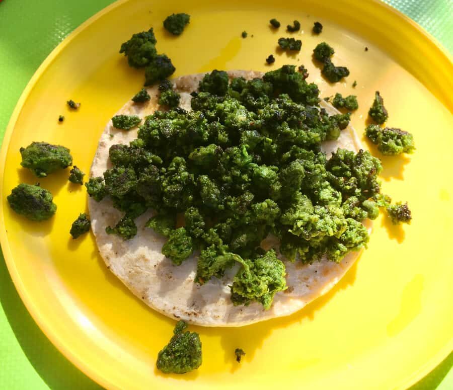 Tulum Taco Tour - Morning or night: choosing the right taco time