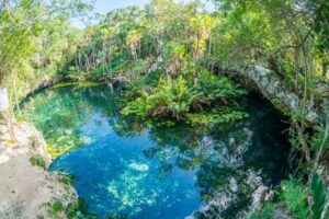 Turtle Encounter Private Tour – Swim with Sea Turtles & Cenote - Akumal Beach turtle snorkeling: shore access and calm water