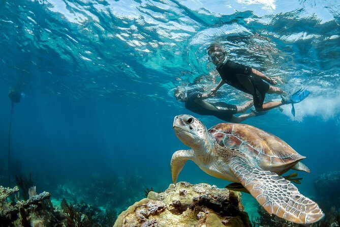 Turtle Encounter Private Tour – Swim with Sea Turtles & Cenote - Cenote Taak bi Ha (and your option to choose another): what to expect