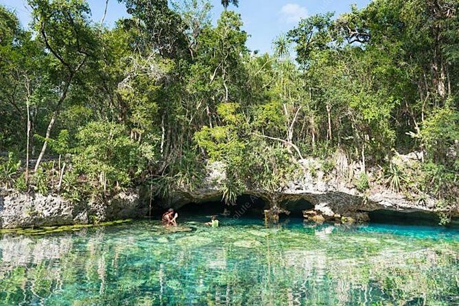 Turtle Encounter Private Tour – Swim with Sea Turtles & Cenote - Gear, safety, and the swimming requirement you should not skip