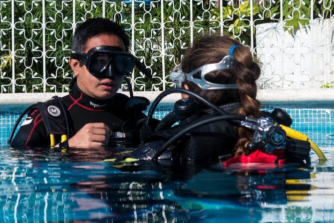 Two reef discovery dives with professional instructor (no experience necessary) - Reef Discovery in Playa: what you’re really buying for $150