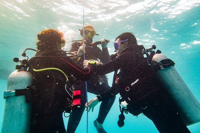 Two reef discovery dives with professional instructor (no experience necessary) - Pool training: how beginners learn to feel in control