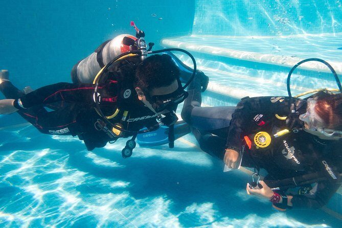 Two reef discovery dives with professional instructor (no experience necessary) - Small groups of four: why it changes everything