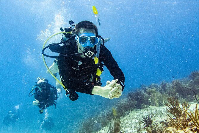 Two reef discovery dives with professional instructor (no experience necessary) - The day’s flow: pool practice, lunch break, then two reef sessions
