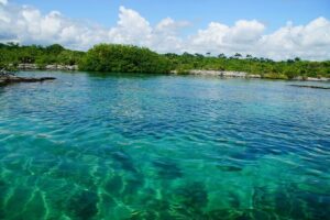 VIP Cenotes Private Tour - Cenote Xunaan Ha: jump-friendly open water with room to move