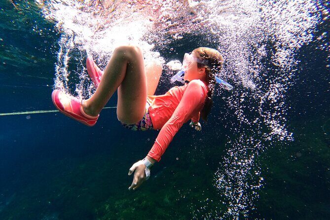 VIP Cenotes Private Tour (half-day) - Price and Value: What the $185 Covers (And Why It Matters)
