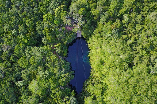 VIP Cenotes & Turtles Private Tour - Price and logistics: what you’re paying for