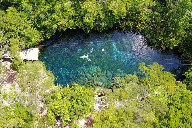 VIP Cenotes & Turtles Private Tour - What’s included (and what to plan around)