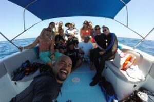 Whale Shark Encounter Full-Day all inclusive Tour from Riviera Maya - The whale-shark swim: how the 15-minute rounds work in real life