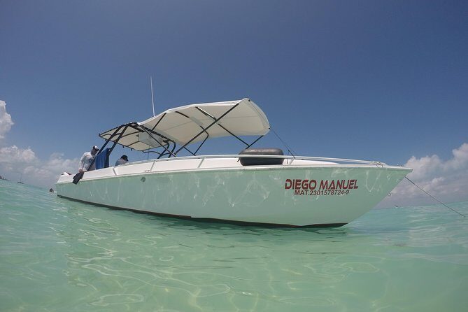 Whale shark encounter Private tour - swim with whale shark cancun - Isla Mujeres lunch and Playa Norte beach time: The payoff after the ocean