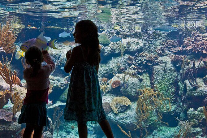 Xcaret Park Plus Access with Transportation and Night Show - Underground rivers: three tours, safety gear, and a smart packing plan