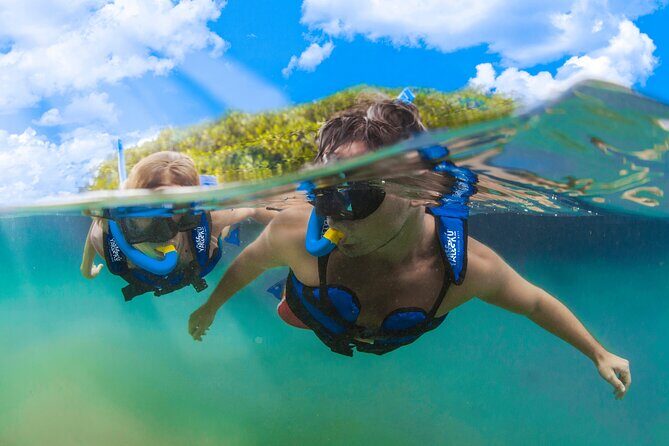 YAL-KU Park in Riviera Maya Admission Ticket - What’s Included (and What You’ll Need to Budget for)